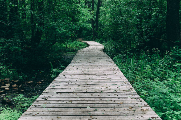 indexing priority paths