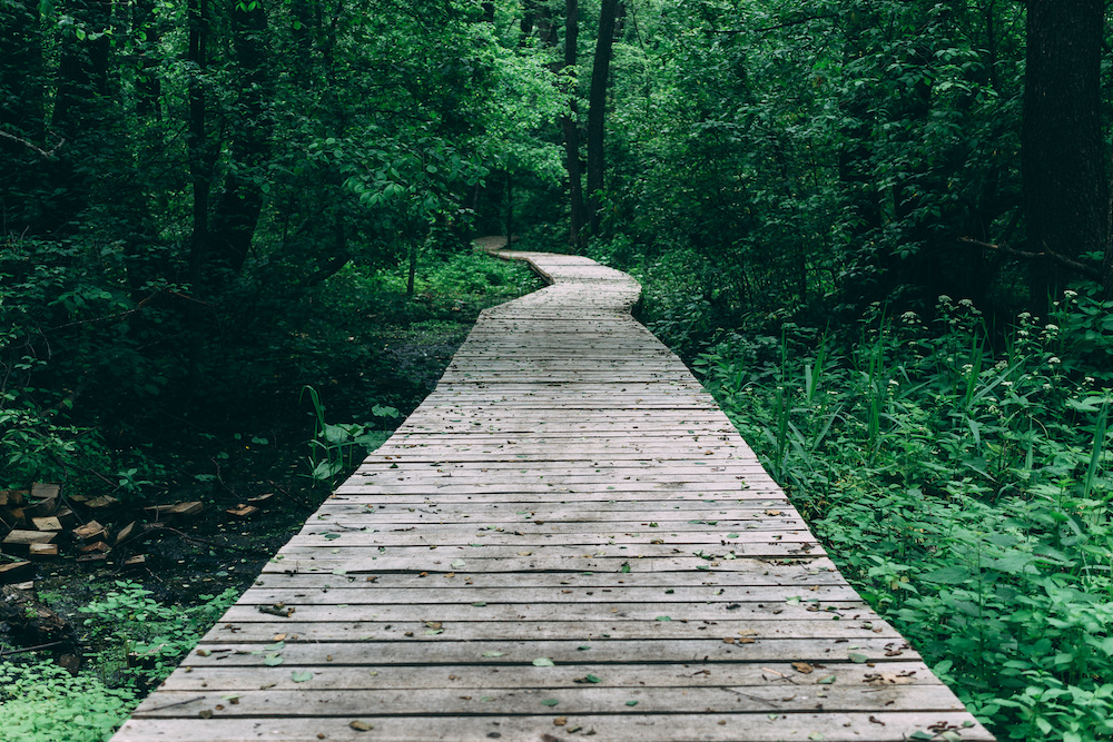 indexing priority paths